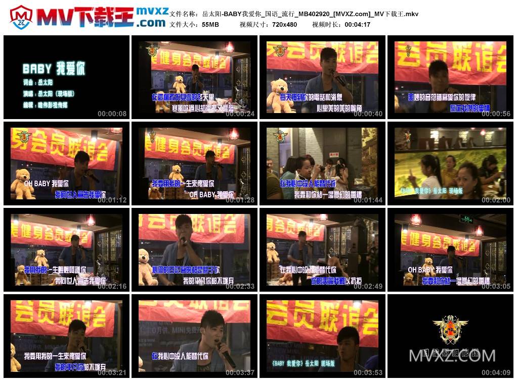 岳太阳-BABY我爱你_国语_流行_MB402920